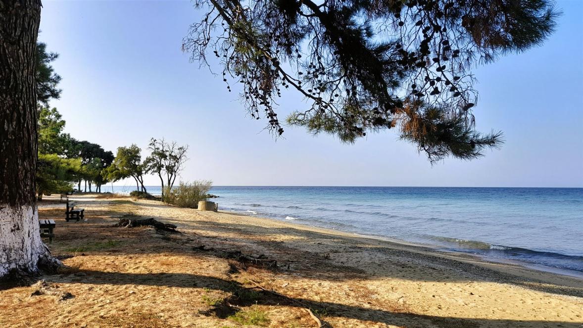 Skala Prinos Strand Dasilo
