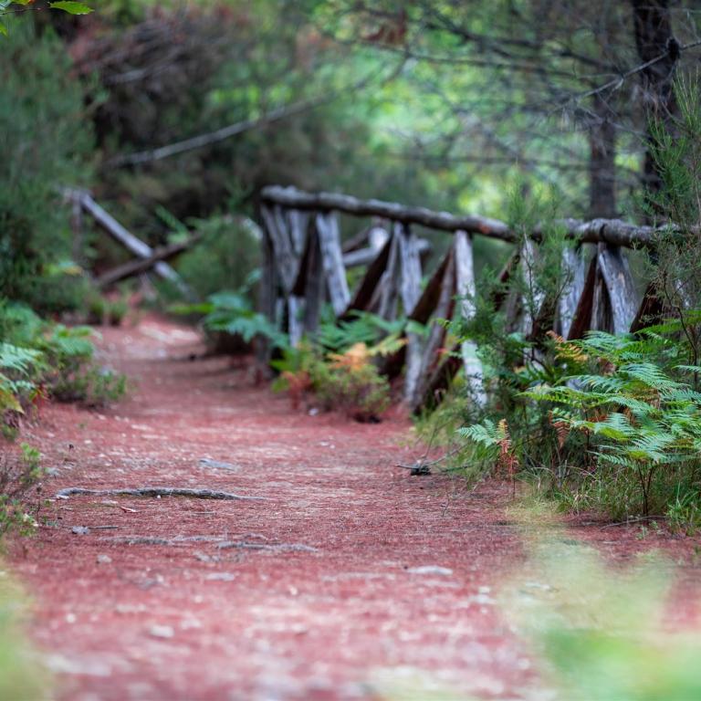 Wanderung Maries
